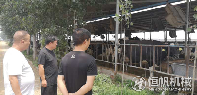 鄭州恒帆機械為溫縣客戶實地規劃年產三萬噸牛糞有機肥生產線項目(圖1) 鐘經理在客戶的帶領下參觀牛養殖場